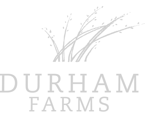 logo for master planned community development Durham Farms